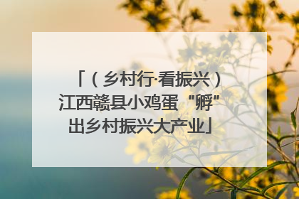 （乡村行·看振兴）江西赣县小鸡蛋“孵”出乡村振兴大产业