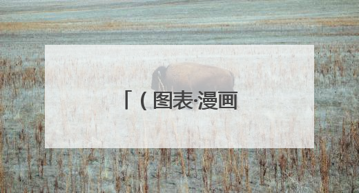 （图表·漫画）打击治理