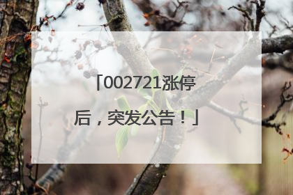 002721涨停后,突发公告!