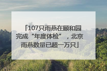 107只雨燕在颐和园完成“年度体检”，北京雨燕数量已超一万只