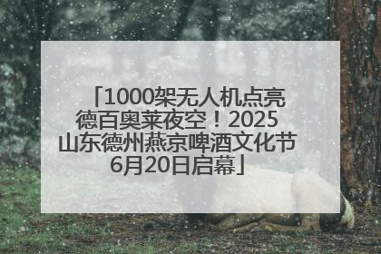 1000架无人机点亮德百奥莱夜空！2025山东德州燕京啤酒文化节6月20日启幕