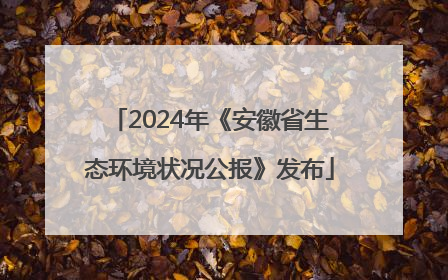 2024年《安徽省生态环境状况公报》发布