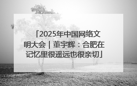 2025年中国网络文明大会｜董宇辉：合肥在记忆里很遥远也很亲切