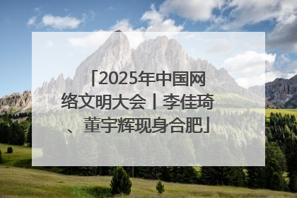 2025年中国网络文明大会丨李佳琦、董宇辉现身合肥