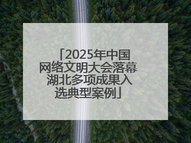 2025年中国网络文明大会落幕 湖北多项成果入选典型案例