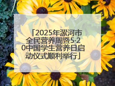 2025年漯河市全民营养周暨5·20中国学生营养日启动仪式顺利举行
