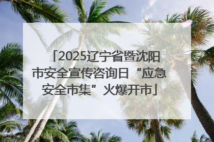 2025辽宁省暨沈阳市安全宣传咨询日“应急安全市集”火爆开市