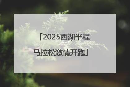 2025西湖半程马拉松激情开跑