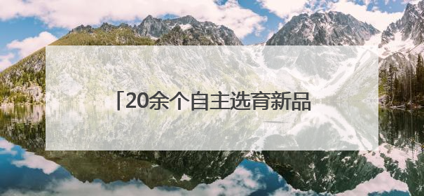 20余个自主选育新品种亮相，全面展示农业科技的“青岛力量”