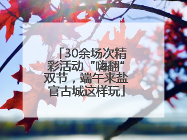 30余场次精彩活动“嗨翻”双节，端午来盐官古城这样玩