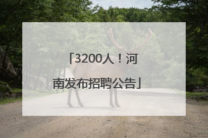 3200人！河南发布招聘公告