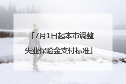 7月1日起本市调整失业保险金支付标准