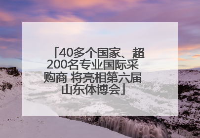 40多个国家、超200名专业国际采购商 将亮相第六届山东体博会