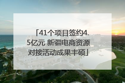 41个项目签约4.5亿元 新疆电商资源对接活动成果丰硕