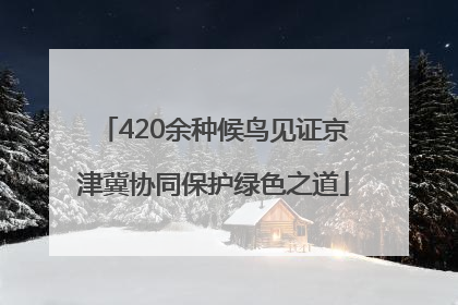 420余种候鸟见证京津冀协同保护绿色之道