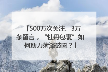 500万次关注、3万条留言，“牡丹包裹”如何助力菏泽破圈？