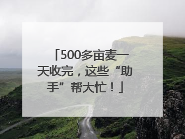 500多亩麦一天收完，这些“助手”帮大忙！