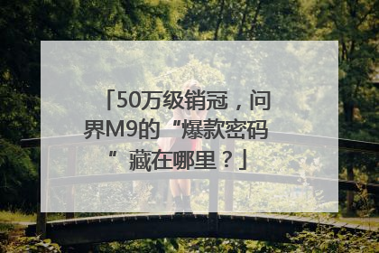 50万级销冠，问界M9的“爆款密码”藏在哪里？