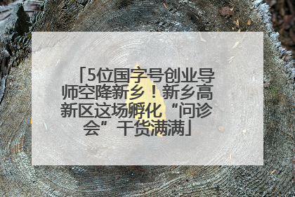 5位国字号创业导师空降新乡！新乡高新区这场孵化“问诊会”干货满满