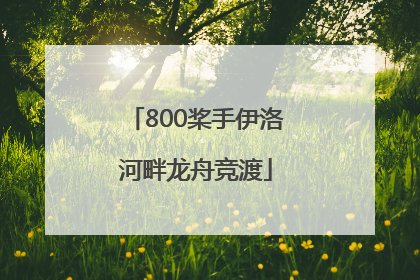 800桨手伊洛河畔龙舟竞渡