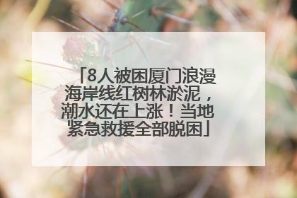 8人被困厦门浪漫海岸线红树林淤泥，潮水还在上涨！当地紧急救援全部脱困