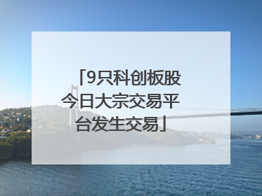 9只科创板股今日大宗交易平台发生交易