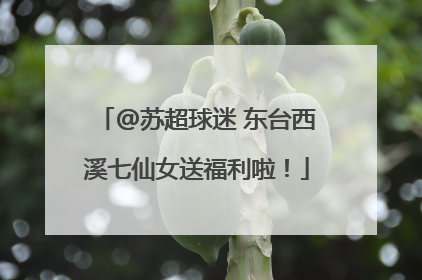 @苏超球迷 东台西溪七仙女送福利啦！