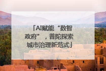 AI赋能“数智政府”，普陀探索城市治理新范式