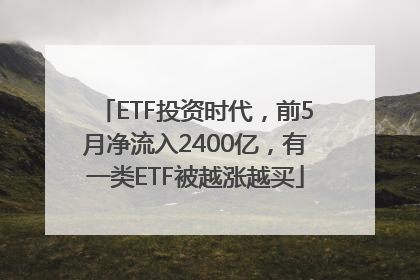 ETF投资时代，前5月净流入2400亿，有一类ETF被越涨越买