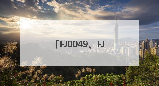 FJ0049、FJ0050，被点名！